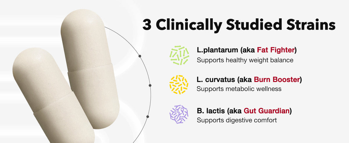 Coleology Diet Probiotics