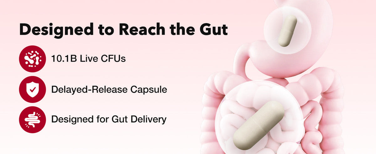 Coleology Diet Probiotics